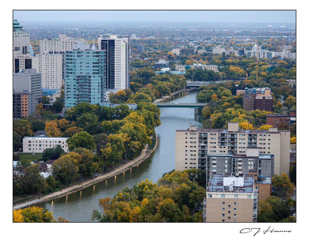View From The Top