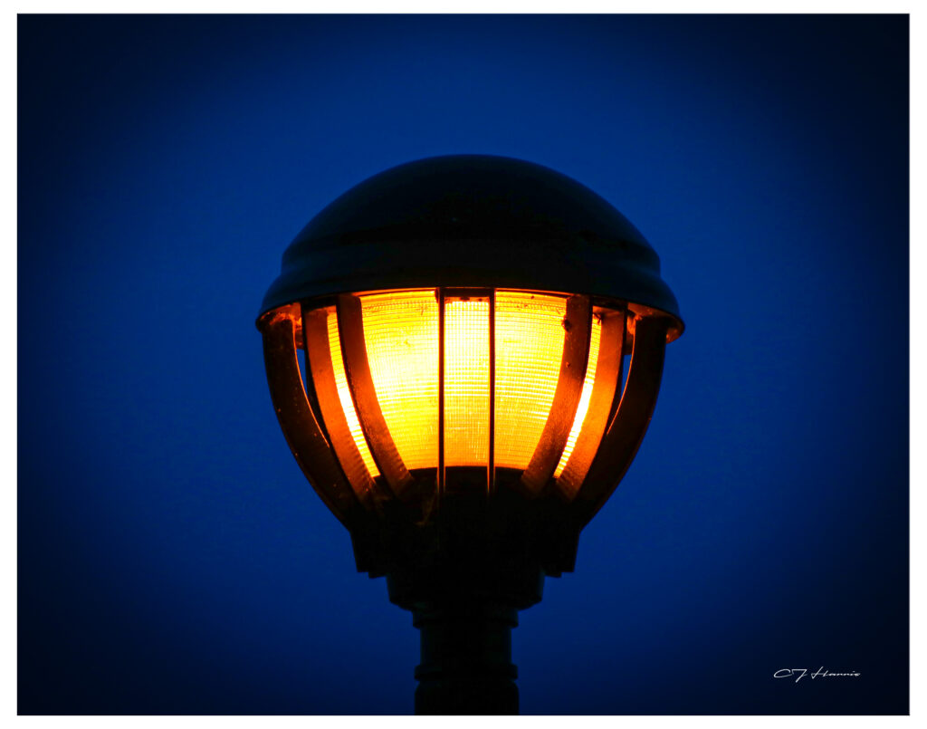 Shine a Light