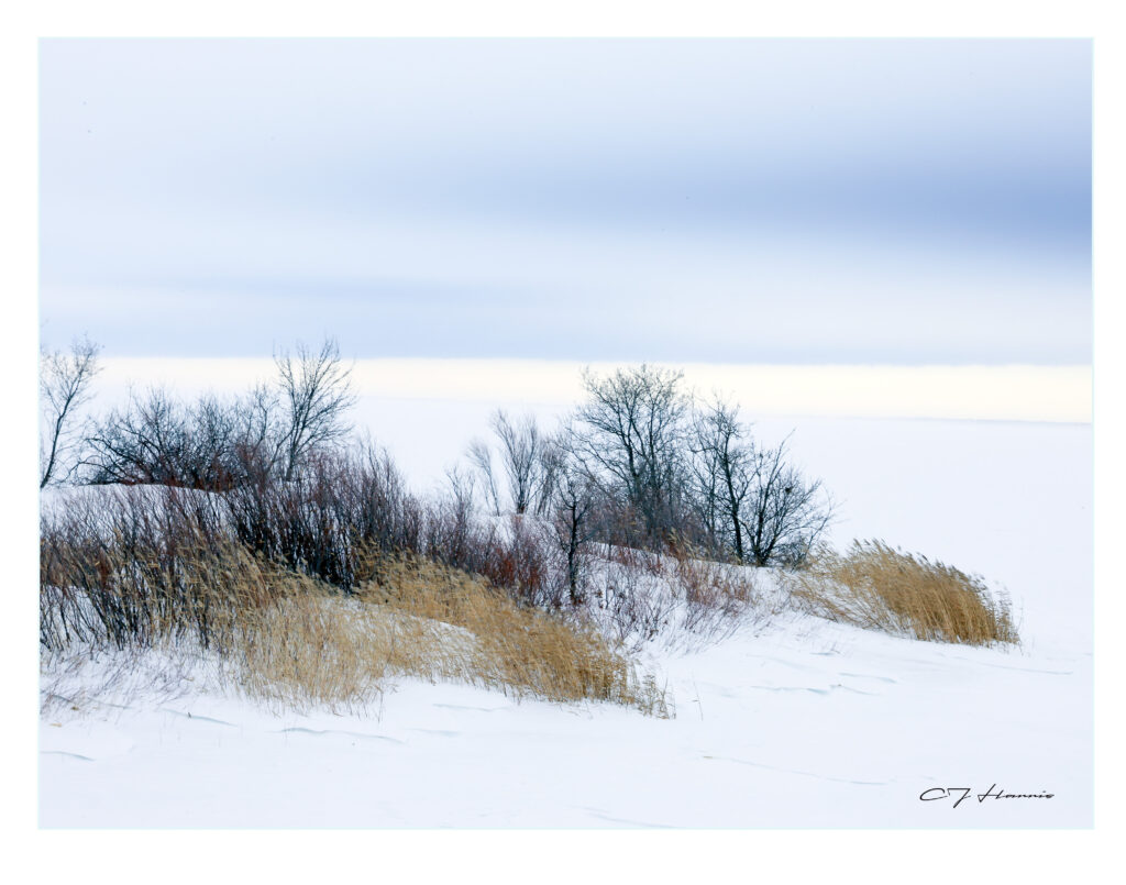 The Frozen Lake